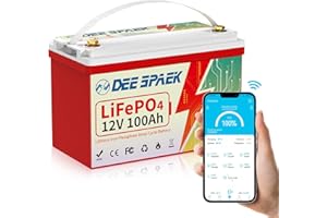 DEESPAEK Batteria al litio da 12V 100Ah con Bluetooth, batteria LiFePO4 a ciclo profondo da 15000, BMS intelligente da 100A, max 1280Wh per solare, camper, trolling motor, marina, barca, off grid