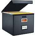 Finew Upgraded Portable File Boxes, Leather File Boxes with Plastic Slide, File Storage Box with Lid for Folder Organiser, Foldable Linen Hanging Document Storage Box (Black)