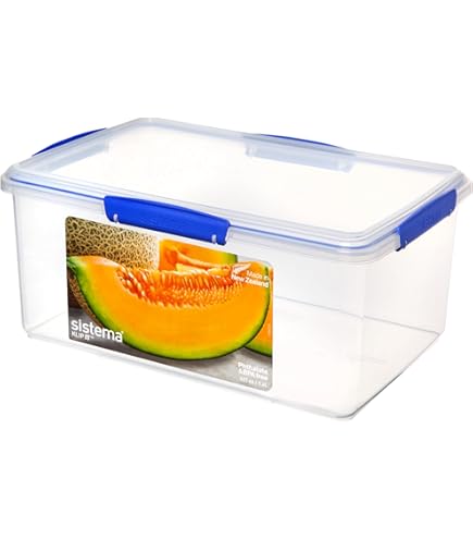 immer Roestvrijstalen voorraaddoos – Luchtdicht en lekvrij vershouddoos, 18/8 RVS, vaatwasserbestendig, ovenbestendig tot 250°C, grote bewaardoos voor meal prep, marineren & deeg laten rijzen (9 L