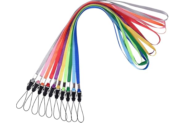 Wisdompro 10 Cordons Tour de Cou de 17'', pour Porte Badge, Porte Clé, Carte d'identité, USB, Téléphone Portable - Couleurs Assorties