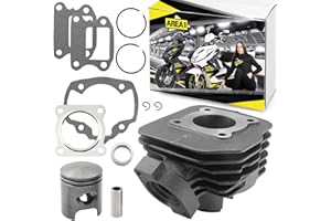 ‎AREA1 Area1 Ersatz Zylinder 50ccm AC kompatibel mit Speedfight 1+2, TKR Vivacity Zenith Elyseo Limbo Buxy Gipsy Reggea SV Zenith, Limbo Reggea (vertikal/stehend)