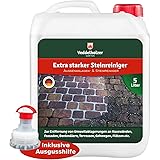 Veddelholzer Außenanlagenreiniger Steinreiniger 5 Liter Konzentrat ohne störende Gerüche mit Langzeitwirkung Qualität aus Ger