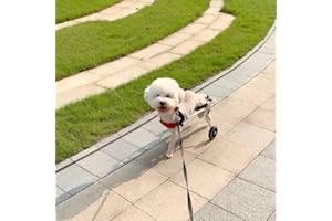 CORA PET Passeggini per Cani Gatto Disabile, Sedia a Rotelle per la Riabilitazione delle Zampe Posteriori, Carrellino per Gambe Posteriori e Cane Anziano, Carrello per Coniglio Ferito, 3-10 kg