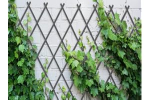 COMERCIAL CANDELA FELPUDOS Y ALFOMBRAS Celosia Extensible Plastica Color Gris Antracita (0.5_x_1.5 Metros)