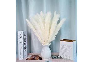 LZGS GO SWING BANDS Flores secas Decoracion Pampas Secas Decoracion Ramo Flores Secas Naturales DIY Ideal para Salón Boho Dormitorio Jarrones (LZGSGO-0109)