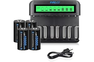 CITYORK Cargador de batería universal LCD, para baterías 8 AA/AAA o 4 C/D, canal de carga independiente por cargador rápido, con 4 pilas D de 10000 mAh