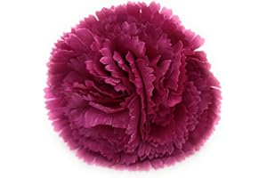 BRANDELIA Flores Flamencas Claveles Típicas Pelo Mujer Flor Flamenca Clavel Feria de Abril Sevilla Flor Artificial Baile Flamenco y Sevillanas, Clavel Buganvilla Ø9cm