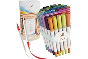 Pinturale Arts 60 Feutres Coloriage Adulte Double Pointe | Feutre Pinceau et Pointe Fine | Pour Lettering, Mandalas, Illustration, Dessin | Feutre Professionnel Dessin