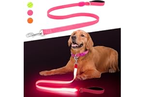 ChalkLit LED Hundeleine, Beleuchtete Hundeleine über USB Wiederaufladbar, 1,2 m, Weich Wasserdicht Reflektierend, für nächtliche Spaziergänge für große, mittelgroße Haustiere blinkende