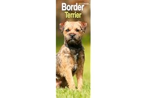 Border Terrier Slim 2026 Calendar | Slimline Wall Calendar | Dog Breed Gift | Plastic Free Packaging | by Avonside Publishing