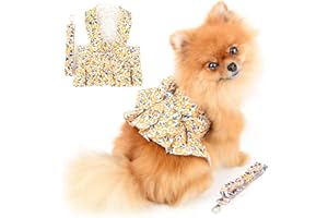 PAIDEFUL Pettorina Vestito per Cani di Piccola Taglia Gatti Ragazze Fiori Gonna Tutu Rete Traspirante Vestiti per Animali con Guinzaglio 1,6 m Cucciolo Chihuahua Yorkie Abbigliamento Primavera Estate