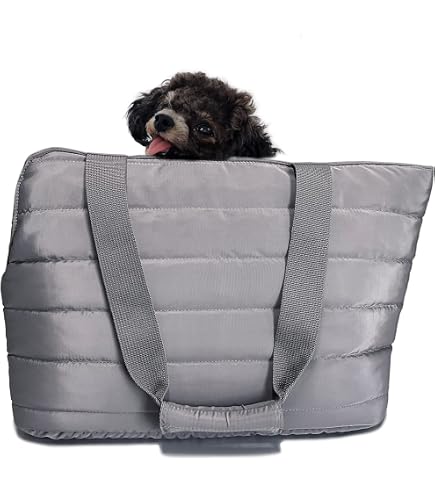 Record - Borsa per Cani e Gatti Sofi. Trasportino impermeabile, imbottito. Borsa per Cani con guinzaglio di sicurezza e fondo rimovibile.Fino a 6 kg | Grigio, 37 x 17 x 26 cm
