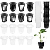 Garden Net Pots, 60 Pcs Plant Cups for Hydroponics, Mesh Basket Hydroponics, Plastic Basket for Garden Balcony Planting (Blac