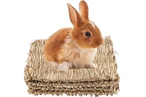 GREENKING Grass Mat Rabbit Natural Straw Mats Bedding Nest Small Animal Chew Mat for Parrot Rabbit Bunny Hamster 21x28cm 4 PCS