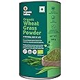 Organic Tattva Wheat Grass Powder, 100g Tin | Immunity Boosting and Naturally Detoxifying Superfood | Supports Healthy Metabolism | Pesticide and Chemical Free