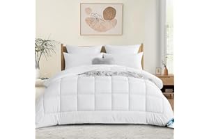 RUIKASI Piumone Letto Piazza e Mezza Invernale 200x200 cm, Piumino Una Piazza e Mezza Caldissimo, 300 gr/mq Trapunta in Microfibra, Bianco