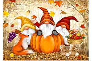 NAIMOER Gnomes Peinture Diamant Adulte, 5D Citrouille Diamond Painting Complet, Diamant Painting Tomber Kit Enfants Diamant Strass Point de Croix Cristal Painting pour Murale Décoration 30x40cm