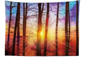 Ulticool - Arbres Coucher de soleil Nature - Tapisserie murale - 200x150 cm - Grande tapisserie – Poster Décoration - Forêt - Bohémian - Toile – Accessoires pour Tapestry Chambre Salon