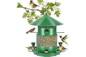 MOOKLIN ROAM Mangeoire Oiseaux Exterieur Ø26cm Mangeoire Suspendue pour Oiseau, Extérieur Lanterne Oiseaux Imperméable, Résistante aux Intempéries Grande Capacité Distributeur à Graines pour Jardin (Vert-1)