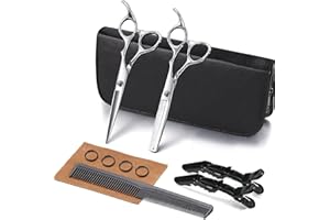ANGNYA Hairdressing Scissors Set Hair Stainless Steel Barber Texturizing Scissors,with Leather Case, 6.0 Inch, Silver