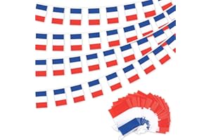 BAFIWU Bandiera Francia, 11 m Ghirlanda di 40 piccole bandiere francesi, 14 x 21 cm, bandiera francese bandiere sostenitori Francia per giochi olimpici decorazione euro calcio accessori
