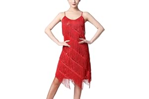 IWEMEK Women Salsa Latin Dance Dress Sequin Tassel Fringe Flapper Dress 1920s Gatsby Cocktail Dress Tango Ballroom Dancing Costume