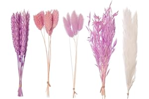 The Baked Studio - Original Dried Flower Set Containing Pampas, Oats, Wheat, Lagarus Bunny Tails & Phalaris For Cake & Cupcake Decorating & Others Crafts (Purple)