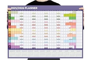 EVELAY Calendrier mural 2024-2025 - Format A1 (84 cm x 59 cm) - Vue mi-année scolaire d'août à août (arc-en-ciel)