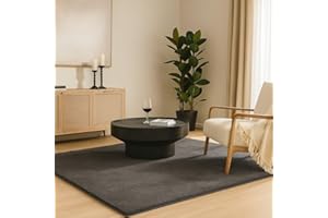 VOUNOT® Teppich Wohnzimmer Groß 200x300 cm, mit rutschfeste Rückseite & Antirutschmatte, Kuscheliger Kurzflor Flauschig Teppiche Gegend für Schlafzimmer Kinderzimmer Esszimmer, Anthracite