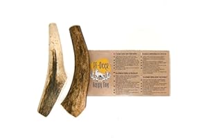 RF - Deer Asta de Ciervo para Perro | 2 Piezas | Talla S (31-50 g)| Juguete Que Anda y Ladra | Mordedores y Huesos allá para Perros, Grandes y Pequeños | Versión Hard | 8-10 cm