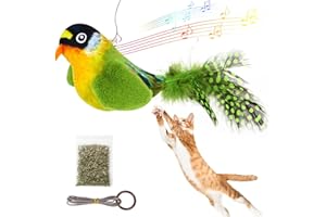 Aucenix Bird Cat Feather Toy - Teaser Catnip Toy Touch Activated for Kitten, Funny Chirping Bird Interactive Toys Retractable Hanging for Indoor Cats Chasing, Chewing, Playing (Green)