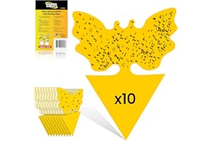 ATAQ Plaquettes autocollante Anti Mouche, Anti moucherons Intérieur, Paquet de 10 Pièges à Mouches/Insectes, Pratique Efficace et Simple d’Utilisation, Colle Ultra puissante Protection Longue durée
