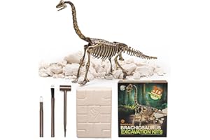 Georgie Porgy Dig it Out dinozaur, kamień szlachetny, mineralny, zestaw do wykopalisk skamieniałości, archeologia, nauka, zabawka edukacyjna, prezent urodzinowy dla dzieci, chłopców i dziewczynek, 6,