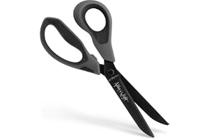 Ashton and Wright – Titan HD – kraftiga saxar för kontor, hem, kök och hantverk – 210 mm/8 tum – titanbelagda blad (grå, väns