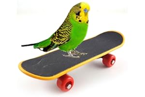 Keersi Spielzeug für Vögel, Papageien, Intelligenz, Spielzeug für Wellensittiche, Sittiche, Nymphensittiche, Finken, Kakadus, Amazonas-Käfig Spielzeug (Skateboard)