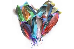 PUMUKY 50 plumes Multicolore Décoration,plumes colorées pour bricolage,Plumes Loisirs Creatifs,duveteuses décoratives plumes d'oiseaux plumes,pour Costumes, Chapeaux, Mariages et Les Fêtes d'anniversaire