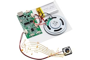 AYWHP USB audio Modulo Type-C Modulo chip audio MP3 con batteria ricaricabile,altoparlante Per carte, regali, giocattoli