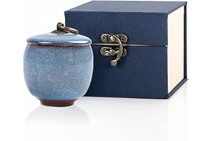 HCLRW Mini urne funéraire en céramique pouvant contenir 14 cm cubes de cendres - Mini souvenir de cendres avec boîte exquise (bleu)