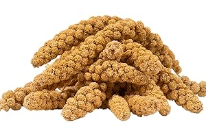 Lyra Pet® 1 kg de Millet en épi Jaune | Nourriture pour Oiseaux Toute l'année pour Oiseaux d'ornement & Oiseaux Sauvages | Millet Jaune trié sur Le volet | pour perruches & canaris