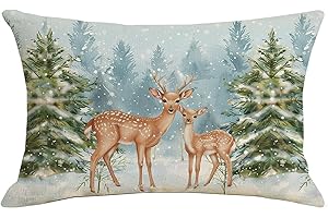 Oneshlee Federa per cuscino natalizia 30x50, Federa decorativa per cuscino natalizia per interni, Fodere per cuscino natalizie, Federa per cuscino decorativa natalizia, Fodera per cuscino decorativa