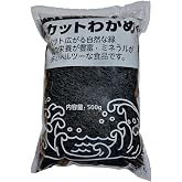 Wakame Yosunu 500 gr, Wakame Dried Seaweed, Kurutulmuş Wakame yosunu, Miso &Ccedil;orbası, Ramen, Sushi, Salata, Deniz Sebzeleri i&ccedil;i
