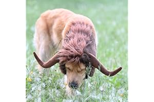 Onmygogo Costume divertente per cani, graziosa parrucca pelosa per animali domestici, toro, bufalo, bisonte, per Halloween e Natale, accessori per abbigliamento per animali domestici (toro, taglia L)