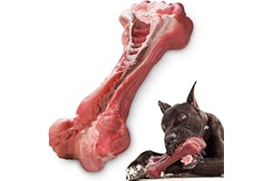 RUXAN Niezniszczalna zabawka do żucia dla psów, o smaku wołowiny dla psów zabawka dla agresywnych żuć, trwała interaktywna zabawka dla psów i czyszczących zęby, dla małych/średnich/dużych psów nudnych