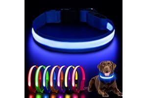 AOZOOM Light up Dog Collar, Rechargeable LED Dog Collar with 3 Glowing Modes, Adjustable Reflective Dog Collar for Small Medium Large Dogs(Blue, Medium)
