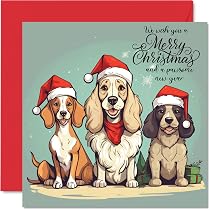Biglietto di Natale divertente per le vacanze 2023, biglietto di auguri sarcastico di qualità per marito, moglie, fidanzato, fidanzata o amico (1 biglietto - Wishing You A-Hole Lot of Joy ... Wiener