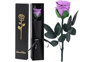 FRFG Ewige Infinity Rose Rot mit Stiel, Geschenke für Frauen, Ewige Rose in Geschenkbox, Konservierte Blume für Mama Freundin, Geburtstagsgeschenk Jahrestag Geschenk Frau (Rot) (Lavendelviolett)