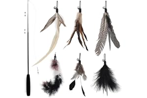 SONGWAY Interaktives Katzenspielzeug Feder – Katzenspielzeug Set mit Einziehbare Stangen, Federstab Katze Spielzeug mit 6 Stück Ersatzfedern mit Glocken, Federangel Katzen, Schwarz