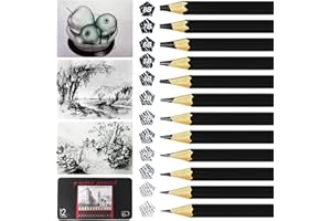 OWLKELA12 Bâtons Crayons, Crayons 2H H F HB B 2B 3B 4B 5B 6B 7B 8B, Crayon Graphite - Créations Artistiques, Dessins, Croquis (Paquet de boîte en métal)