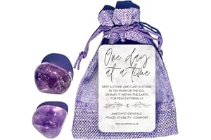 SACRED NEST One Day at A Time Crystal Gift Set | Unique Gifts to Show Support through Grief, Loss, Someone Having a Tough Time | Thinking of You Gifts & Thoughtful Condolence Keepsake | Uplifting Depression Gifts