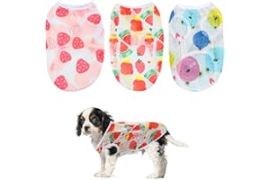 HOT SHOT TOOLS Chemise pour Petits Chiens, 3pcs Gilet rafraîchissant pour Chien Respirant T-Shirt d'été pour Chien Gilet de Glace Pyjama Chien Fruits pour Chiot, Chihuahua, Yorkshire, Baby Corgi (L,3.5-5kg)
